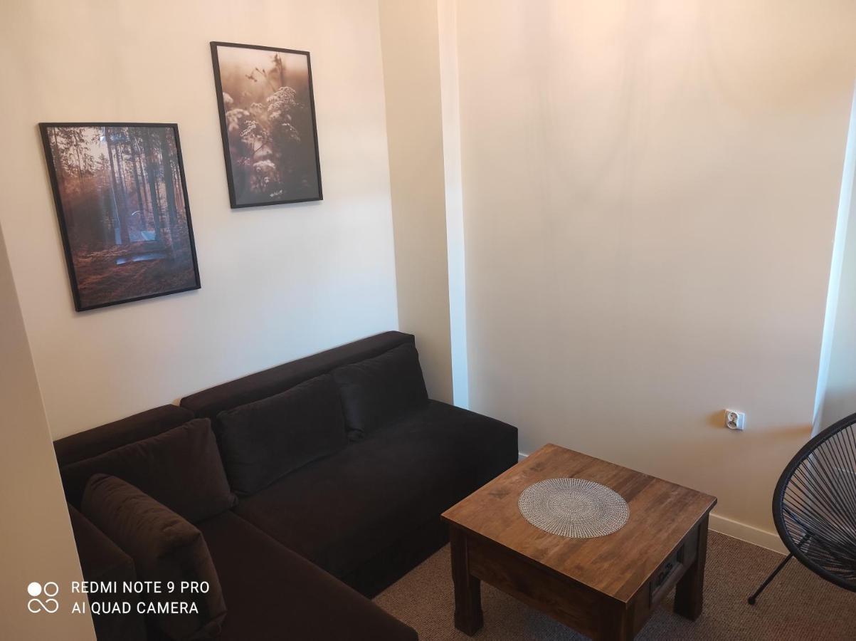 Bocianowka Z Sauna I Fotelem Masujacym W Cenie Ustroń Exterior foto
